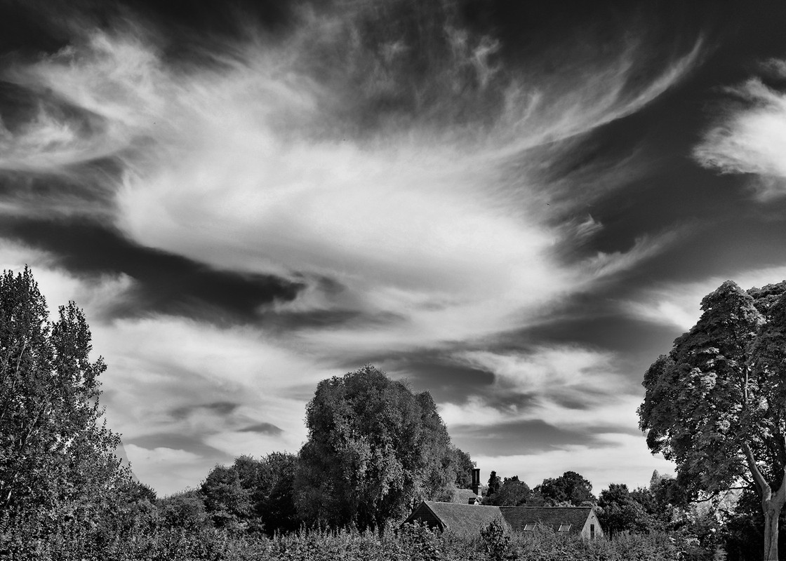 Photo Competition for July 2022 Photo Competition for July 2022