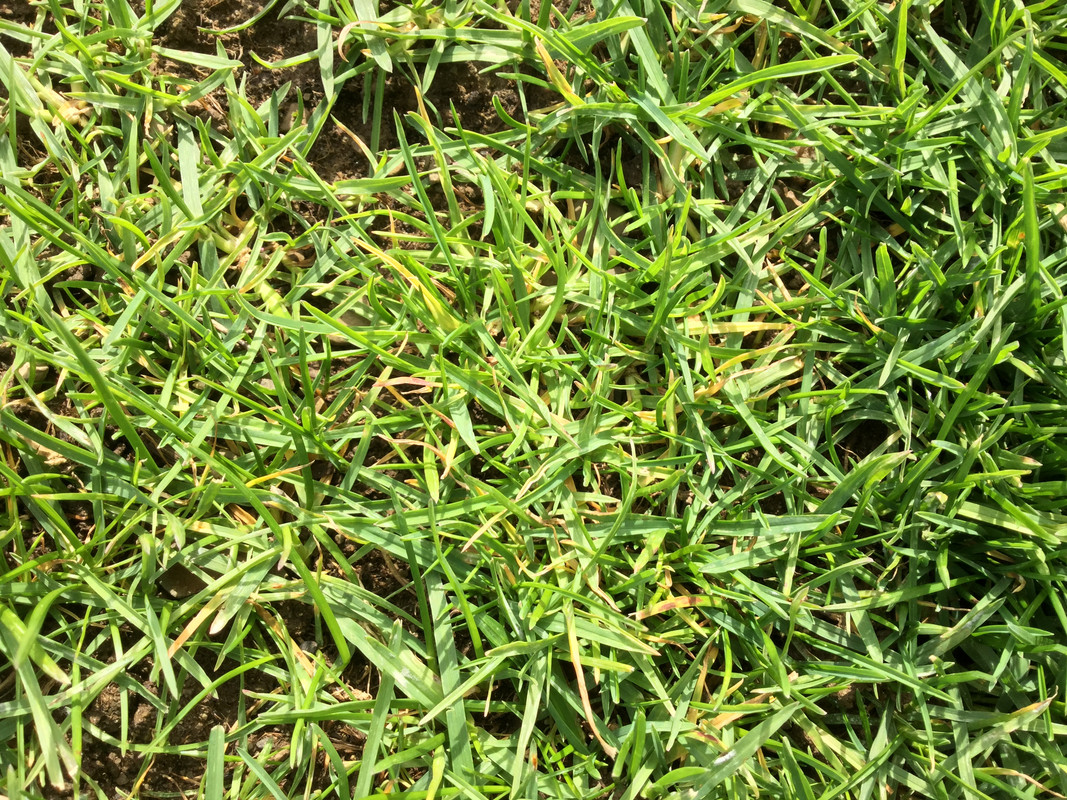 AB8064C8-42D1-4111-8695-CAE59E31B05A