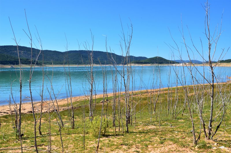 PRESA Y EMBALSE DE ENTREPEÑAS-20-6-2015-GUADALAJARA - Paseando por España-1991/2016 (21)