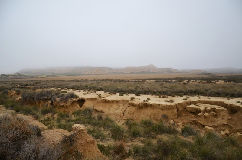 Navarra y sus pueblos-2015 - Blogs de España - Las Bárdenas Reales-15-11-2015 (45)