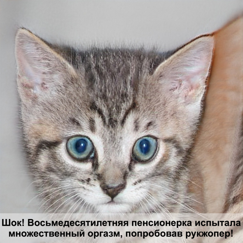 самая большая дикая кошка