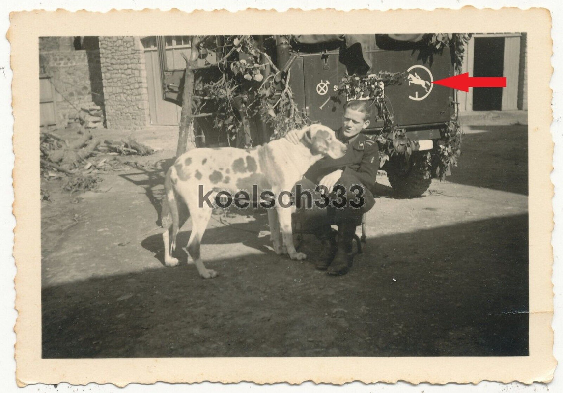 Foto Panzermann mit Hund vor Kübelwagen mit TKZ Wappen und Taktischen Zeichen