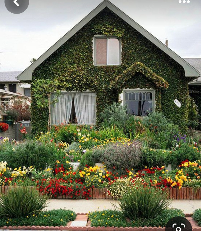 Screenshot_20240512_180815_Pinterest