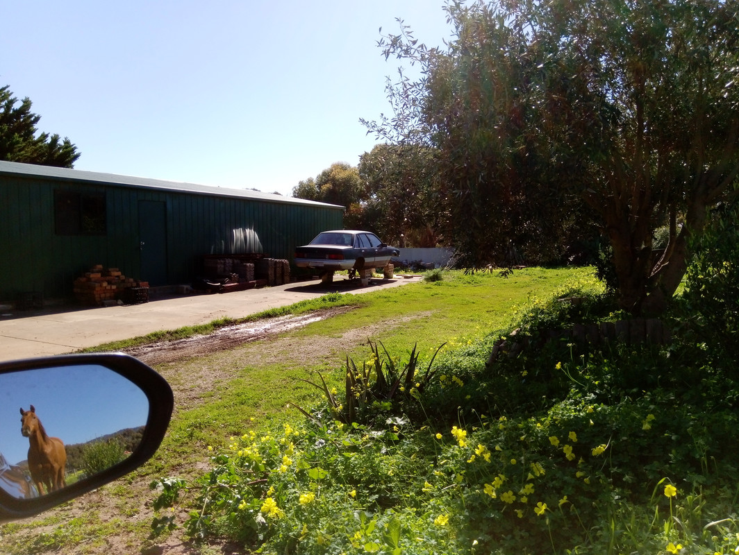 VL commodore wrecks Aug2019 (2)