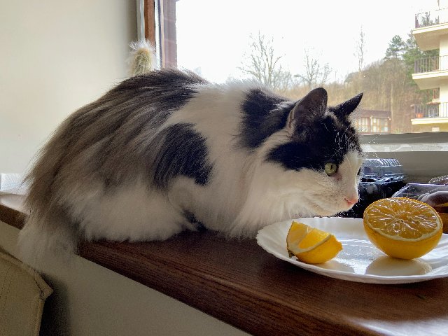 7-EEBA670-C300-4-E46-B78-E-2817-E3-FC93-