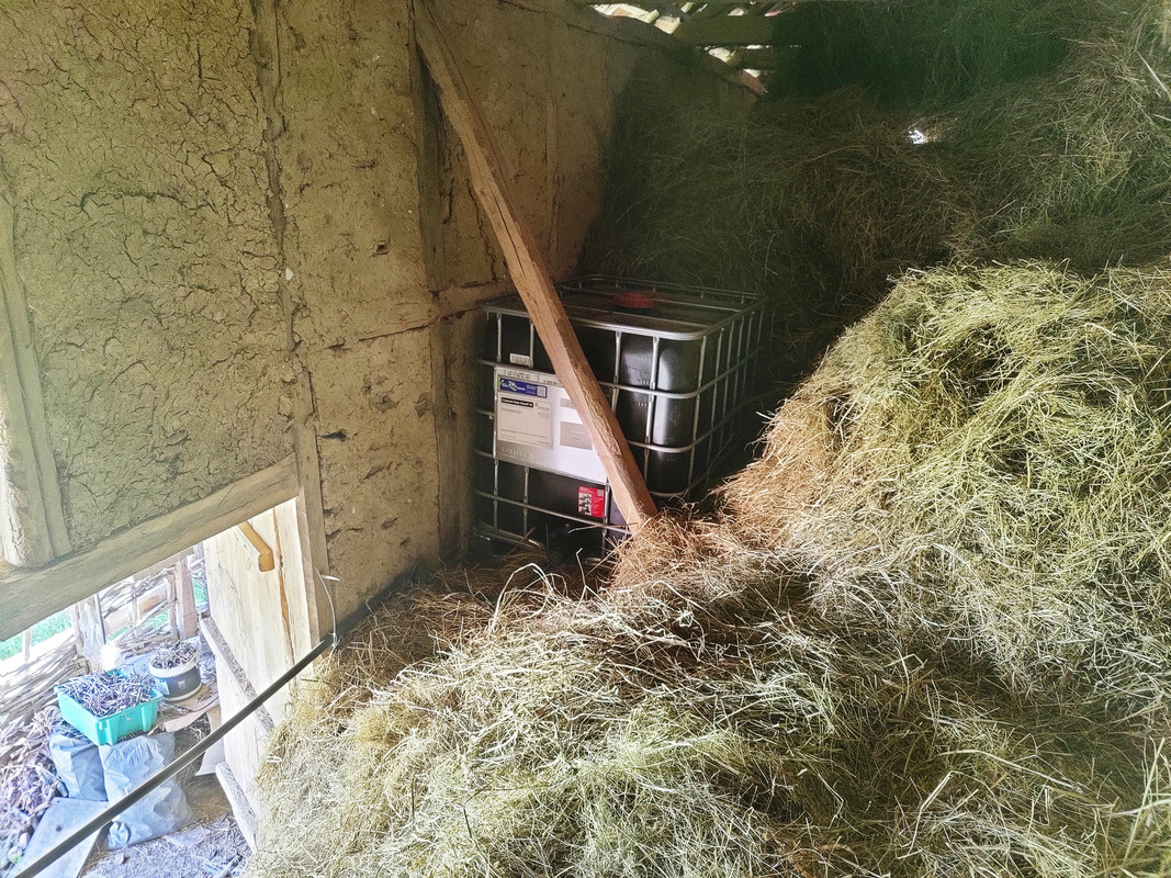 IMG20220512095304
