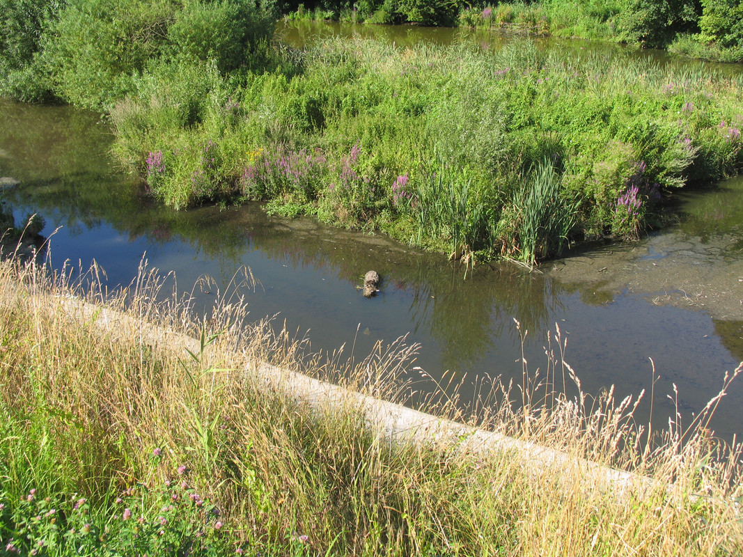 21 Июля 2024 047