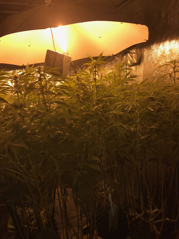 95F21427-0F8C-4847-A20D-4E8DFC0531C7