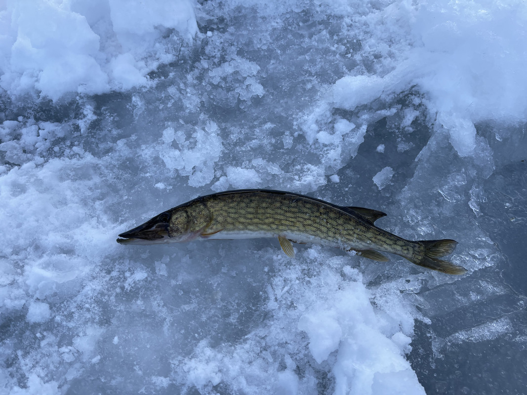 6C871CE7-899F-4DFF-9774-8A99432353F4