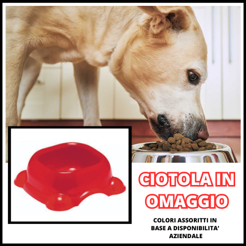 CIBO PER CANI PATE' BOCCONCINI CROCCHETTE CROCCANTINI SCATOLETTE MANZO POLLO VITELLO AGNELLO VERRDURE FEGATO CIBO SECCCO UMIDO CIOTOLA PER CANI