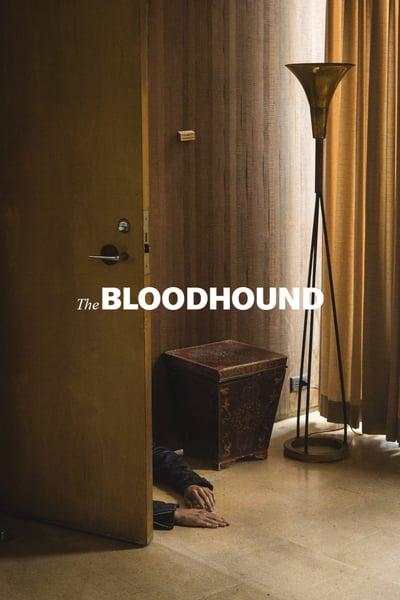 The-Bloodhound-2020-720p-BRRip-Xvi-D-AC3-XVID.jpg