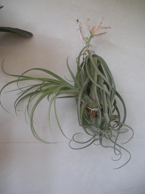 K5xKVeHN-CfgFNbU88VTq6UNRDP4Wsl1Cu4lsv3yFZY2ZAJ7VzMonseunhyoMbJfcNQo3-tWlDj25DAjQoyYbDLb