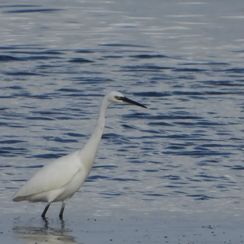 IMG_20221029_191729_488