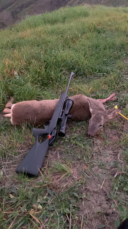 75BD14DE-D1A5-4C1E-8EAF-1B3C23CE9722