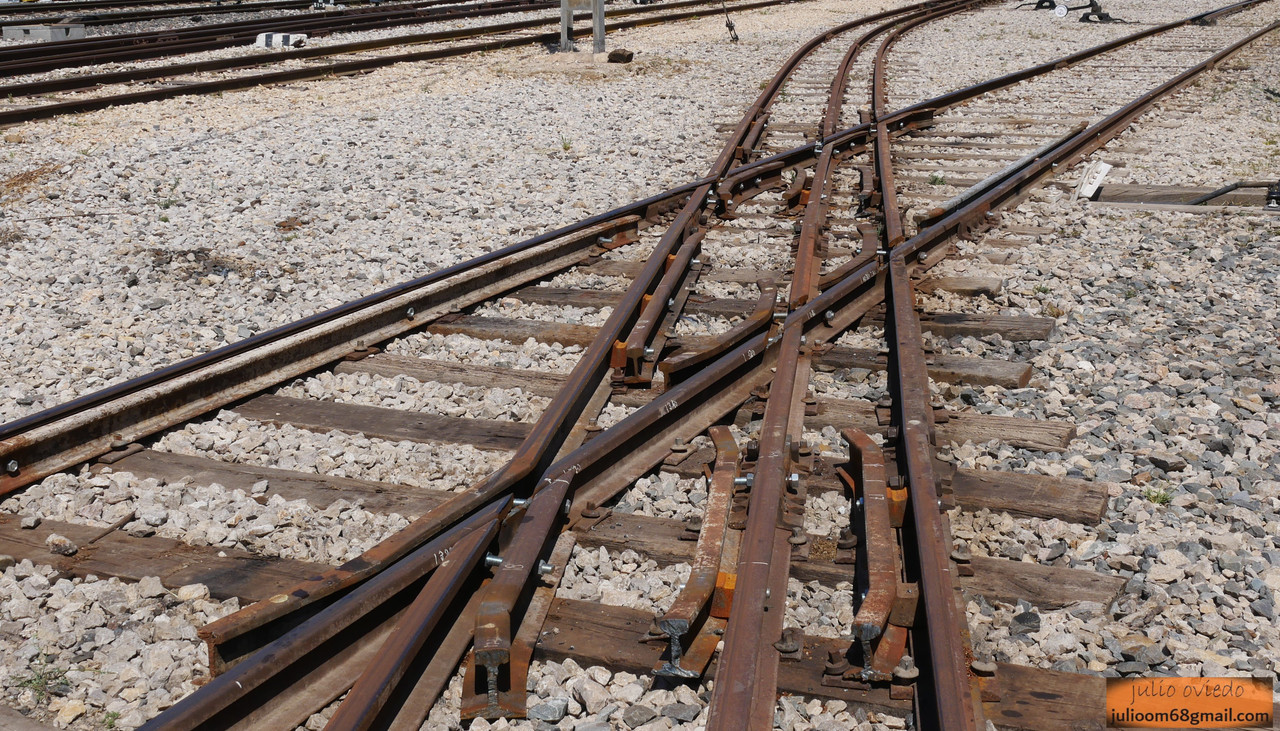 2025_Mayo (80) Móra la Nova