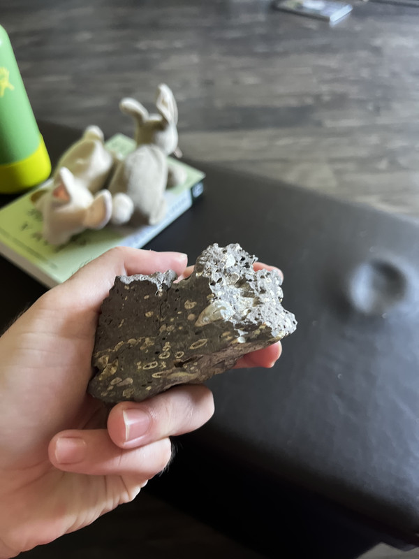 A rhyolite hand sample. It’s blue with a lot of vesicles and filled vesicles (amygdules). The amygdules have massive quartz fill. Both the amygdules and vesicles are stretched in the left-right direction. Some linear features also follow this direction.