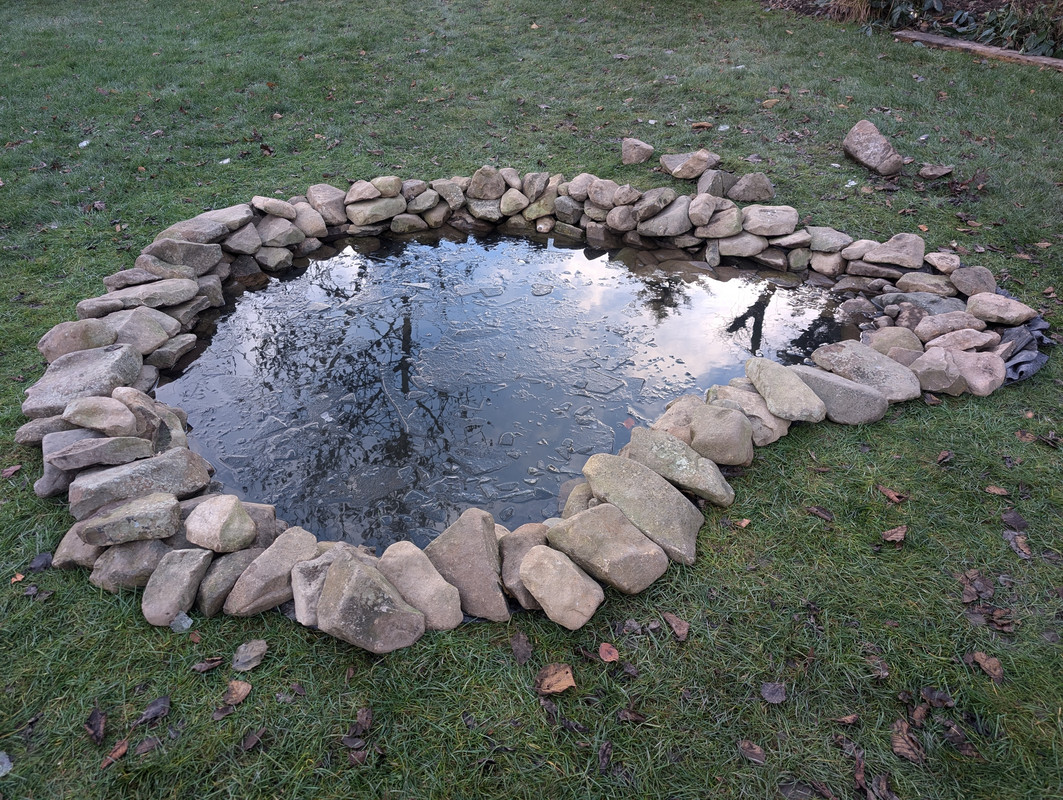 PXL_20241122_142546187.MP