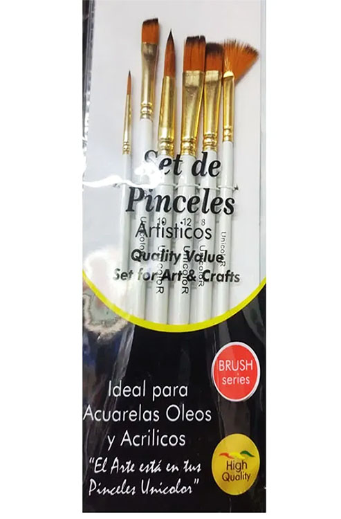 Set Pincel plano angular abanico delineador para artes 6pz