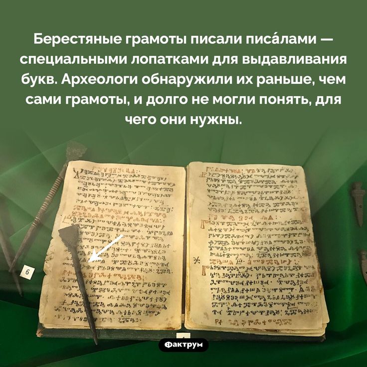 [Изображение: photo-2025-07-25-15-15-37.jpg]