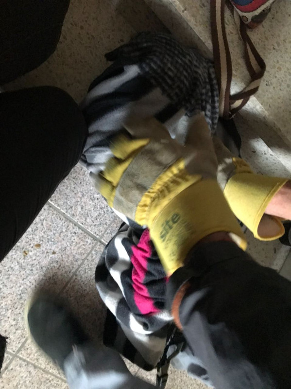 2EF3F6BB-2A95-4B4F-A0B3-7E0522A456FF