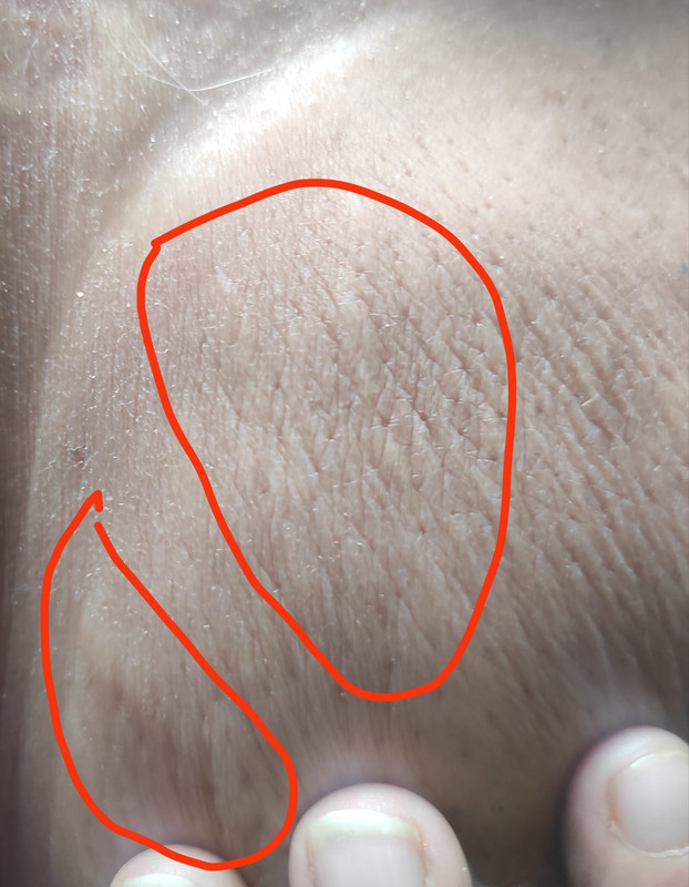 WhatsApp Image 2023-05-25 at 15.03.21