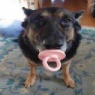 88c0c3666e0c5a45833b960a5a18622b