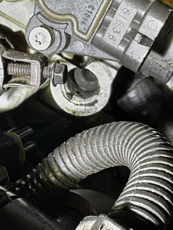 photo 2026 04 10 16 39 00