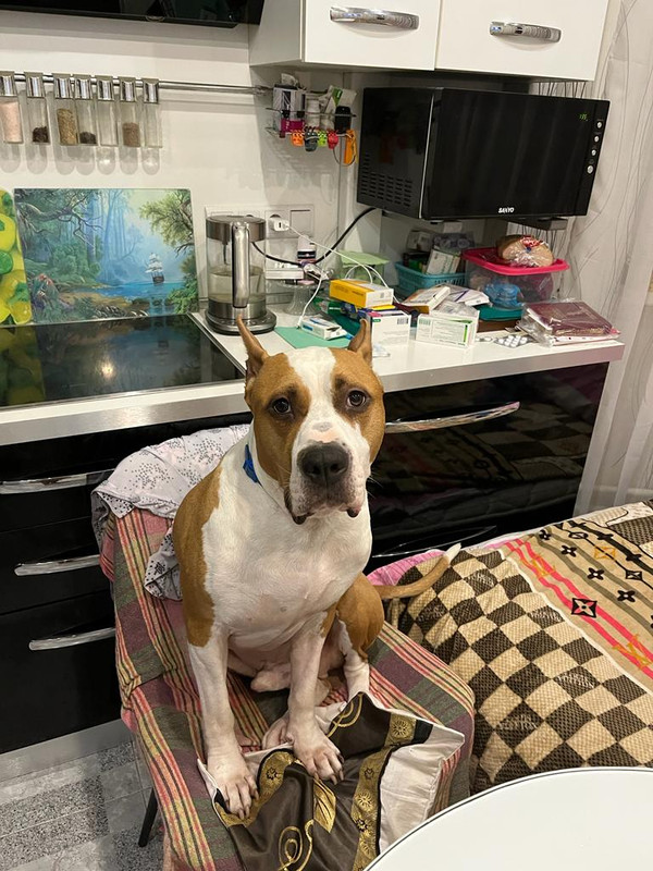 E5396B2B-90E0-4039-A769-0521FCC755F1