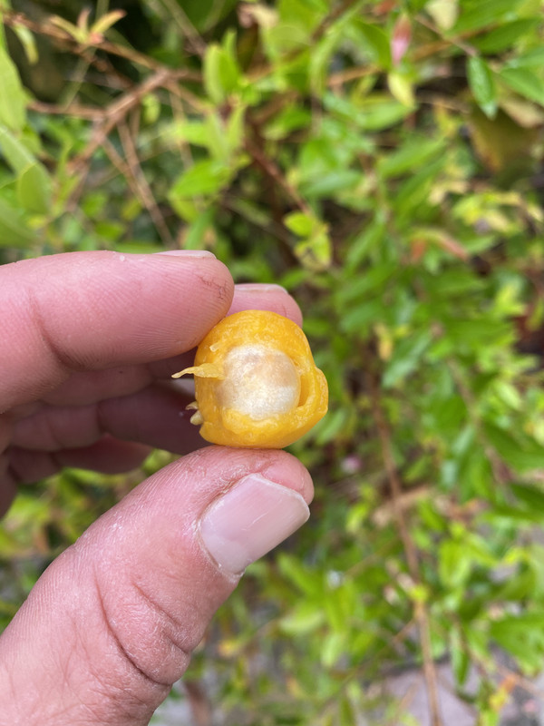 2B48DC74-6562-49B2-9F74-11E5F6541B80