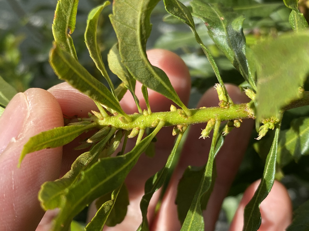 1CC8CB70-53B7-4F18-BBD1-131E25B965F5