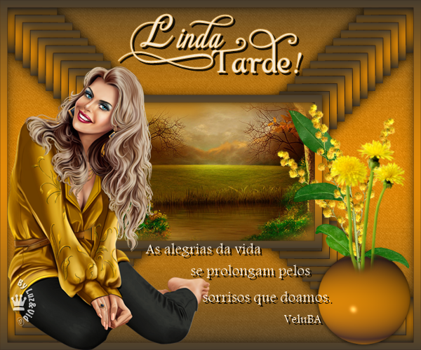novo872-MB-maryluz.png