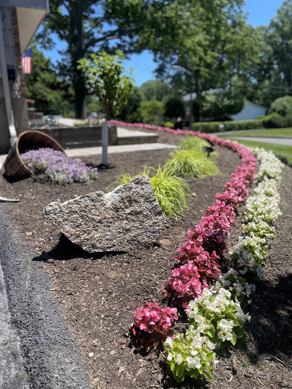 290D2683-8492-439B-8228-5825F31C67E2