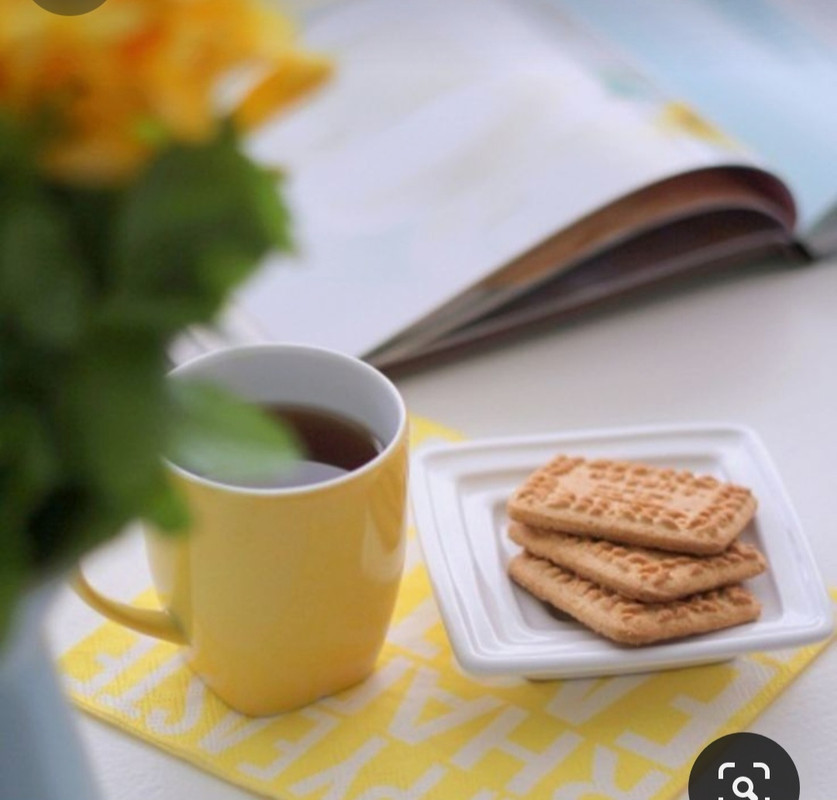 Screenshot_20230911_224441_Pinterest