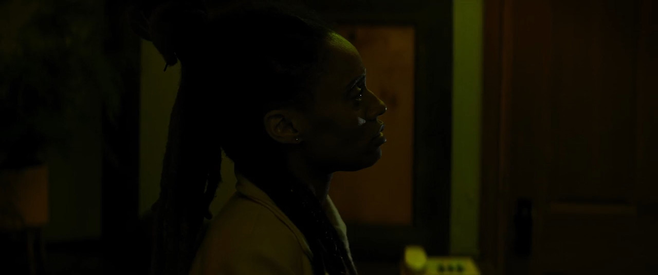 Stand Your Ground 2025 BluRay [Hindi + Tamil + English] 480p 720p ESub Screenshot
