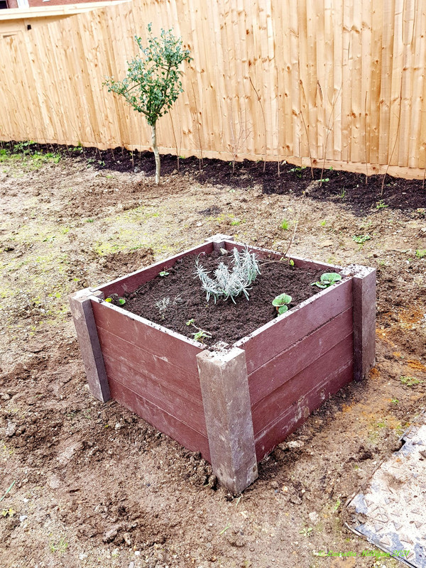 One new planter