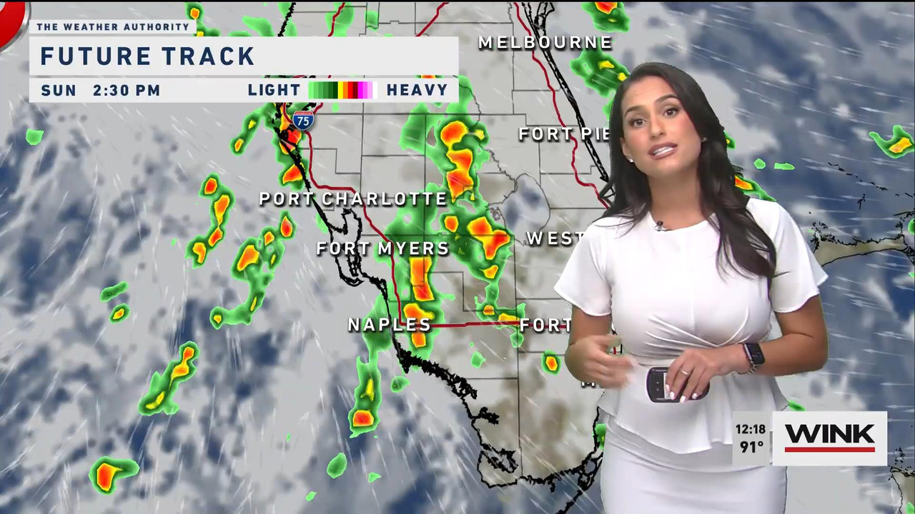 08.13 - 17.00.00 - WINK Noon News. Local news, sports and weather.ts_snapshot_09.58_[2021.08.13_20.5