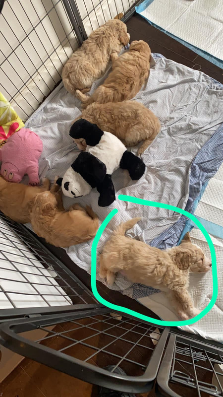 8D106539-3F34-489A-B3C2-E0302465A26C