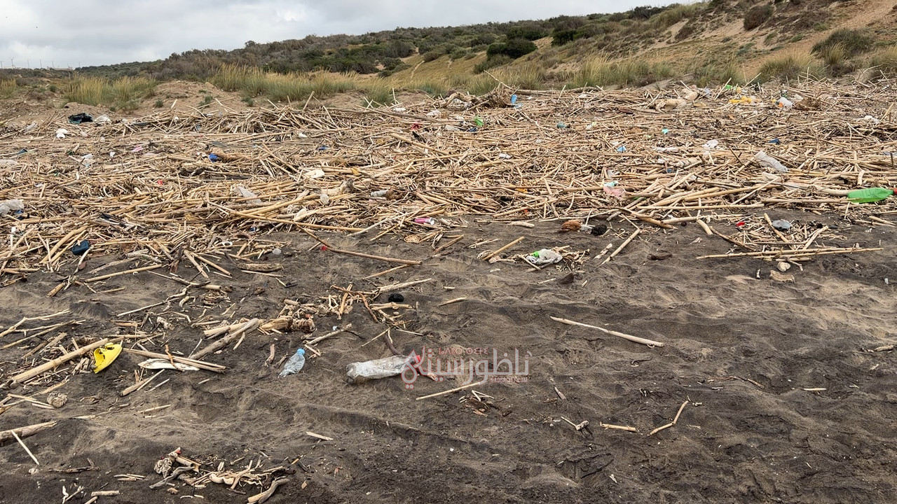 2026-04-26-15-50-IMG-1394-00-00-22-08-Still004