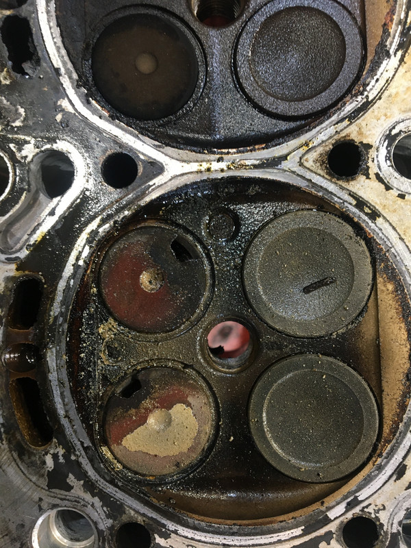 F8D3F711-918F-4D2D-AA0C-3E24B23AB18D