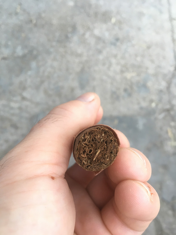 96BC28EC-8D93-4720-BD46-ABCF6611D97F