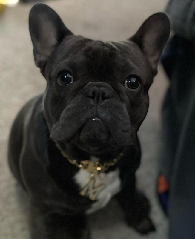 4204602B-0277-43BB-B6BE-27D0AB2ECA2A