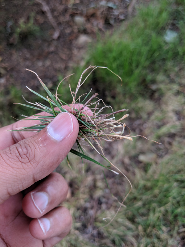 MVIMG_20180609_193132 - Copy