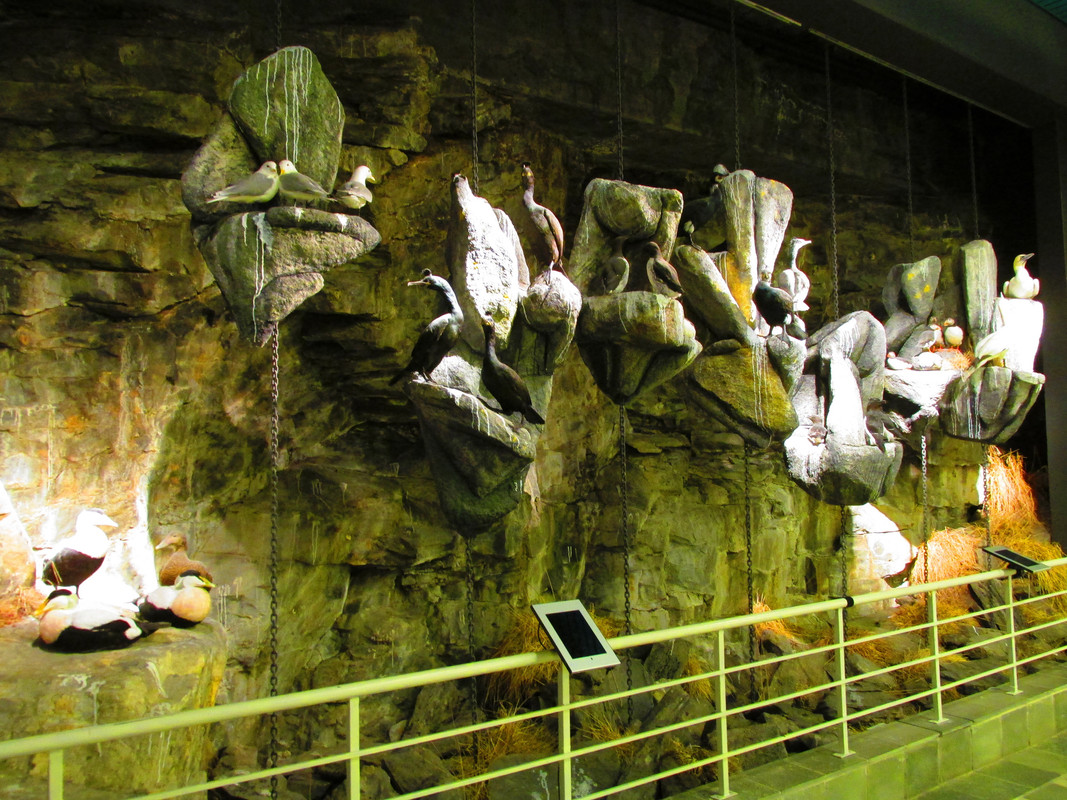 Nordkapp Muzeu (12)