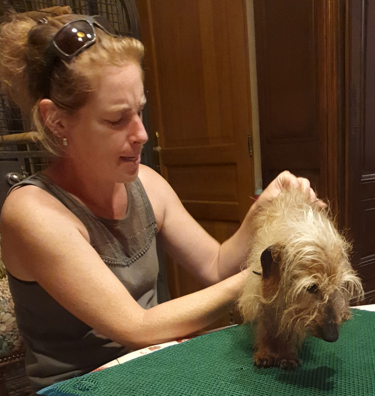 [Image: 20220804-083342.jpg]