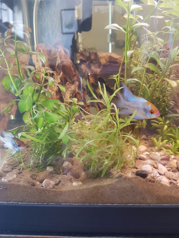 15339792797238458145609151237721