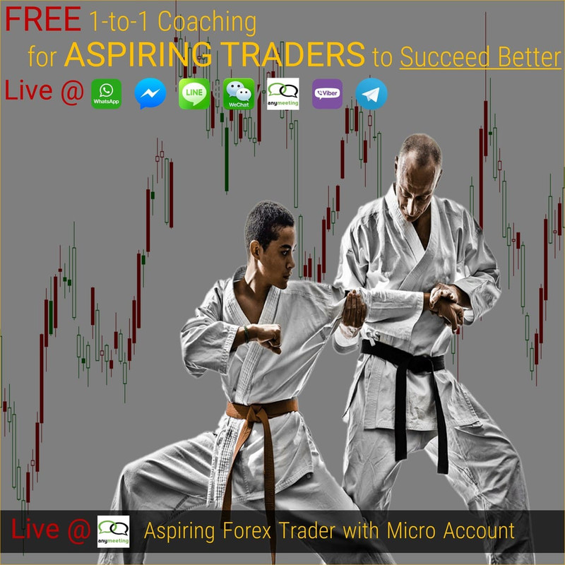 [FREE 1-to-1 Coaching] 2020 March – Aspiring Forex Trader with Micro Account
