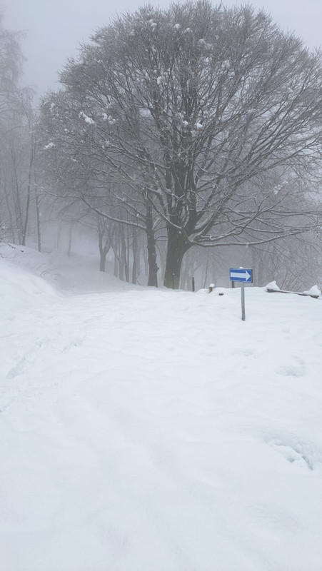 Whats App Image 2026 01 19 at 08 19 59