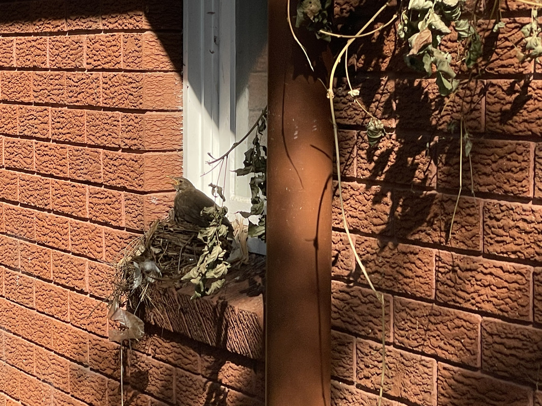 ED95862B-460C-4F36-845E-A6B60D6A18E2