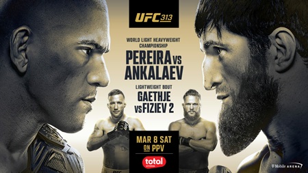 UFC 313 PPV 480p WEBRip x265-TFPDL