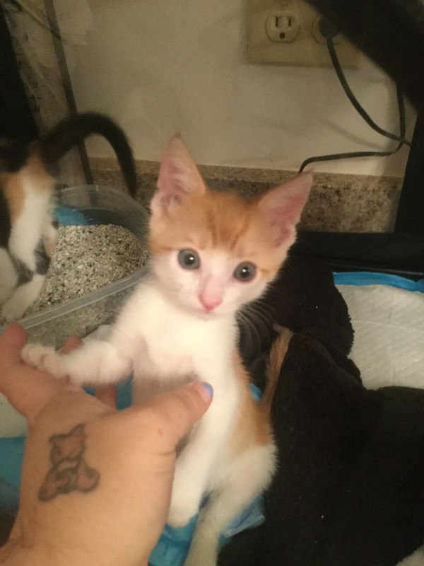 52919581-4E55-4583-947D-1B915258D236